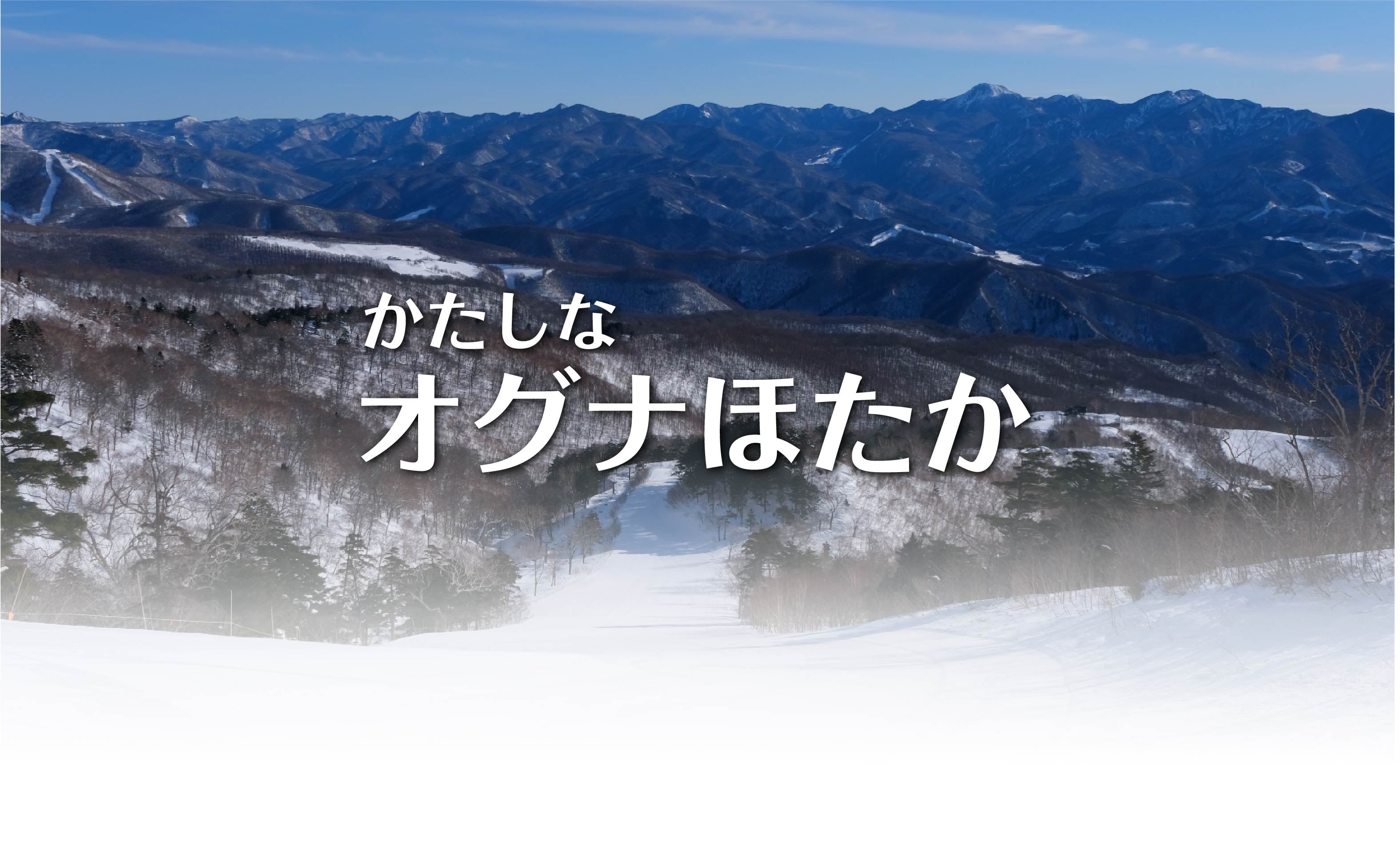 オグナほたかスキー場 前売リフト1日券 メインビジュアル