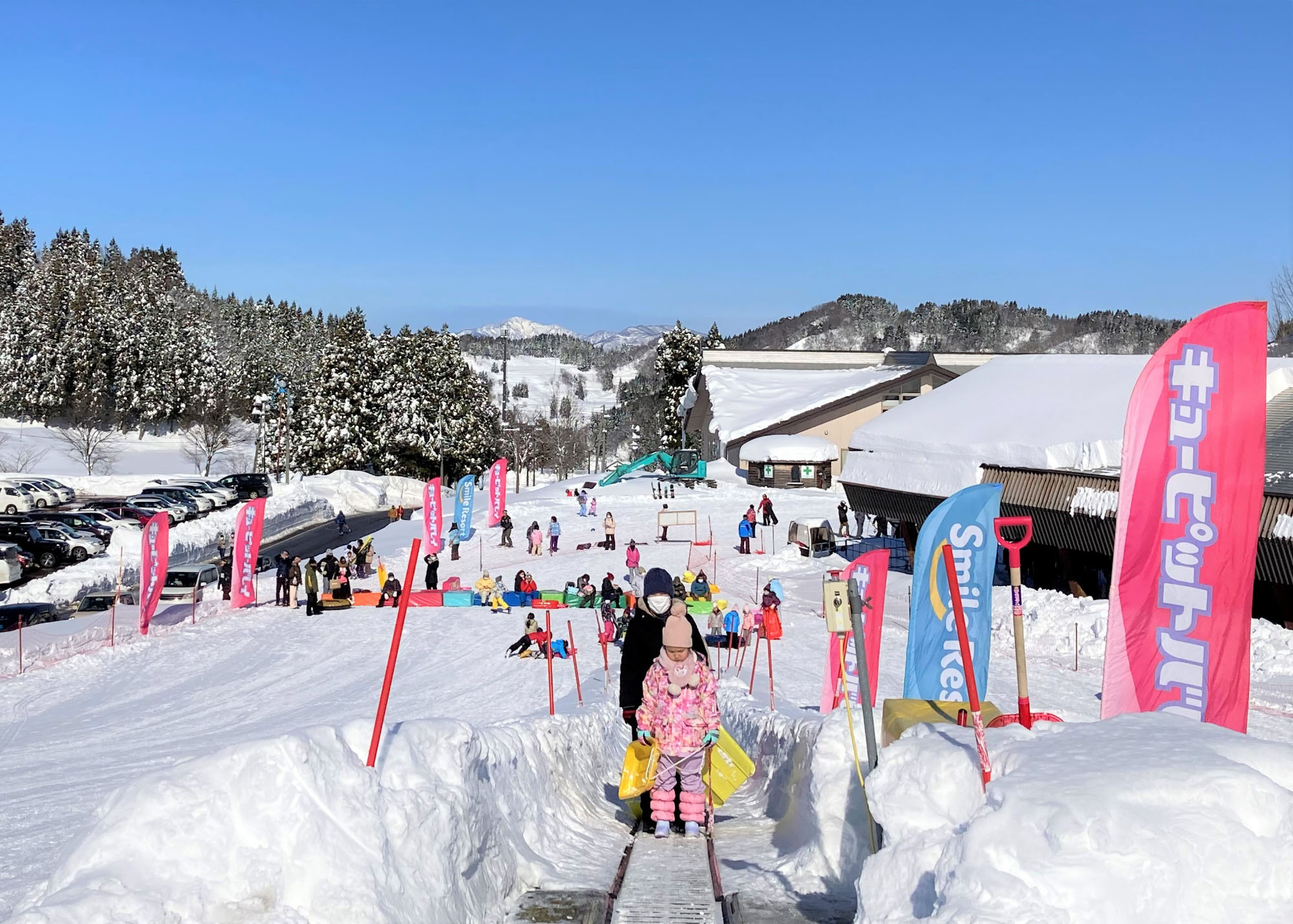 デビューからレベルアップまで