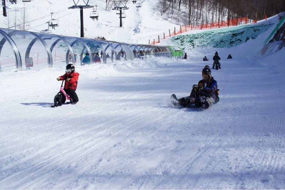 デビューからレベルアップまで