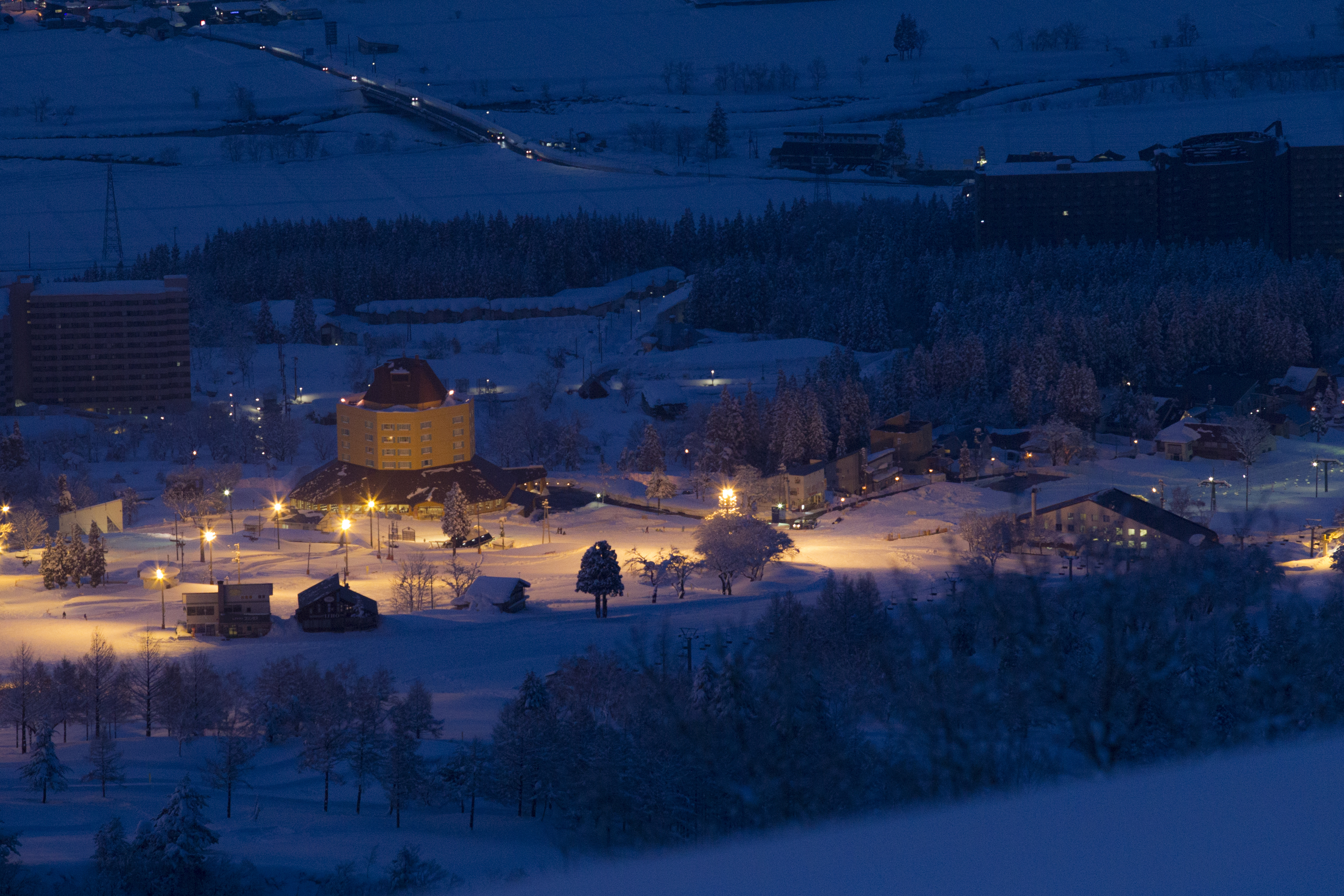 ギャラリー画像7