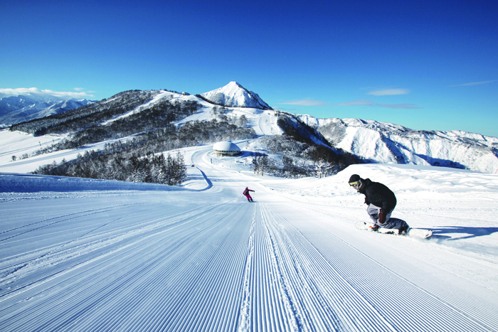 デビューからレベルアップまで