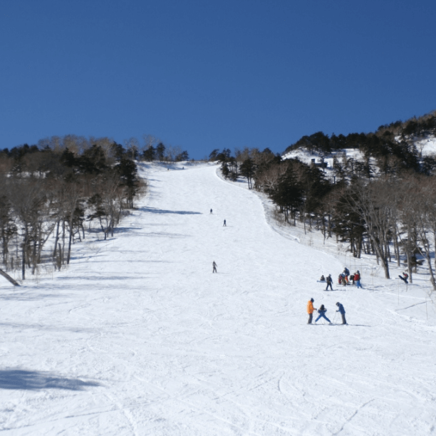 週末はパークレッスンへ