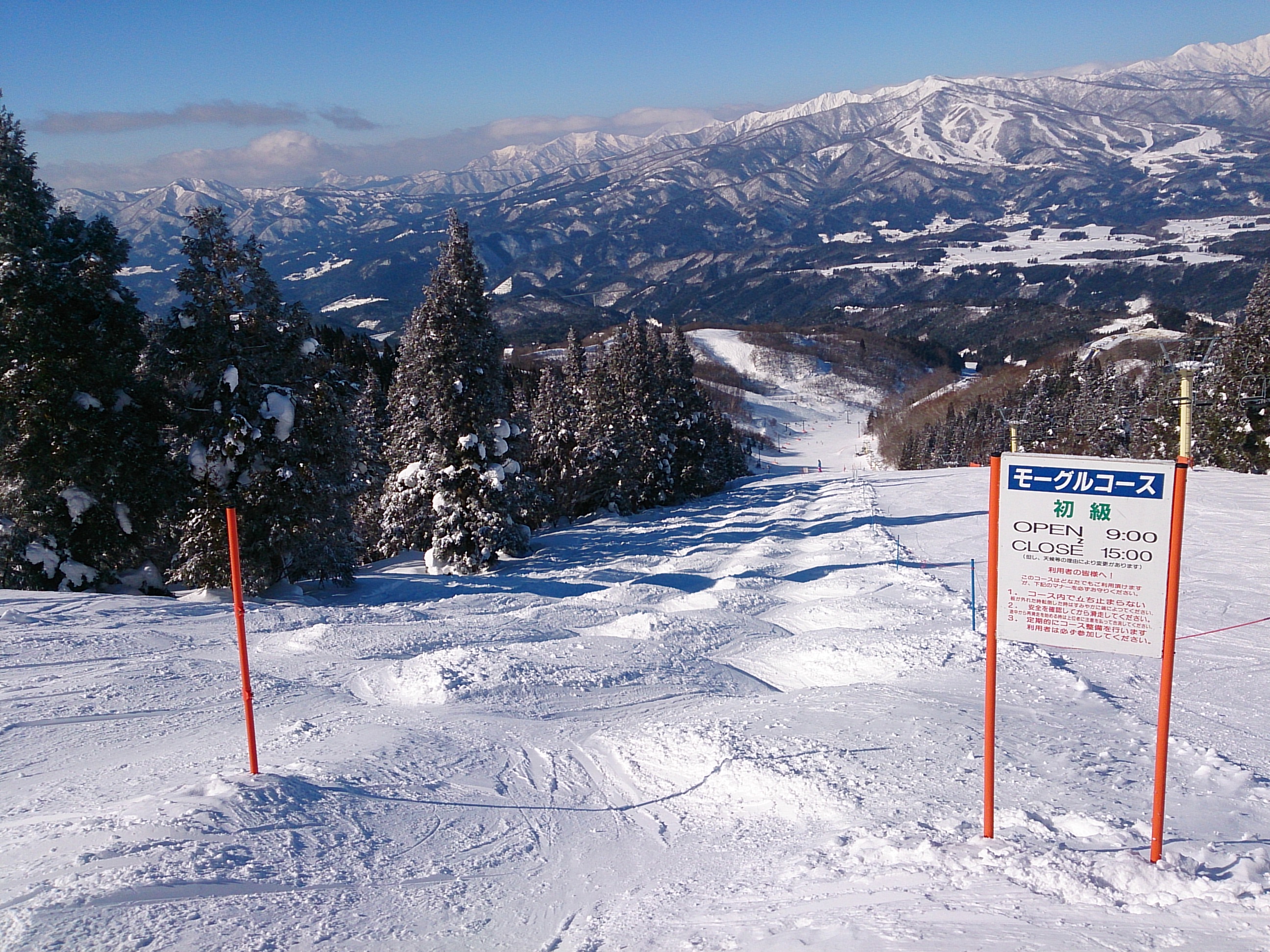 多彩なアクティビティ
