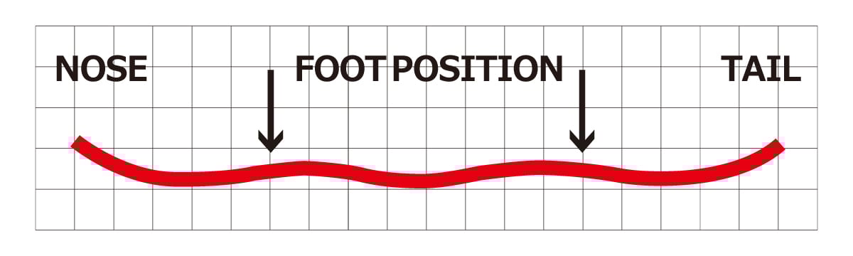 ダブルキャンバー