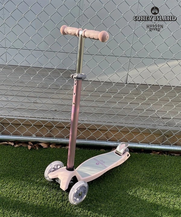 HUDSON RIVER ハドソンリバー キックボード CONEY ISLAND コニーアイランド ムラサキスポーツ