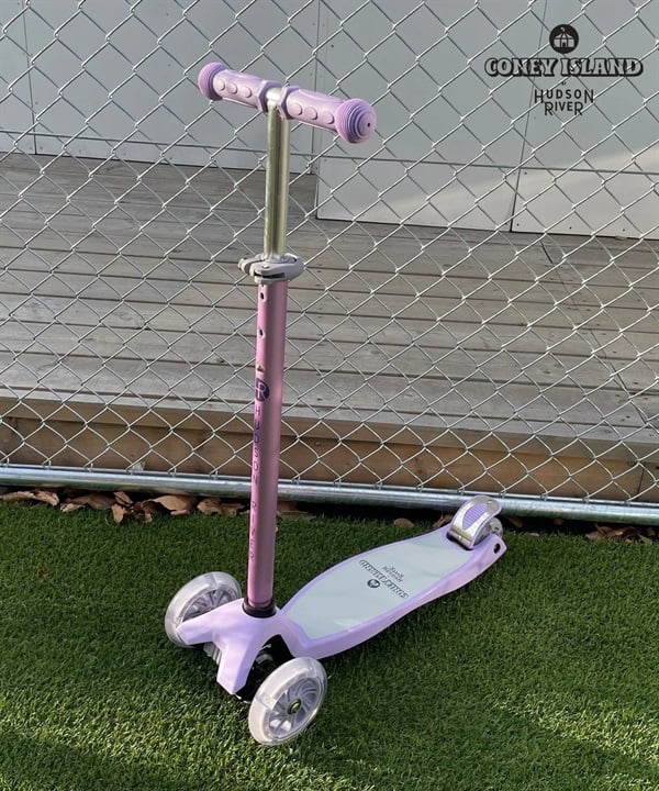 HUDSON RIVER ハドソンリバー キックボード CONEY ISLAND コニーアイランド ムラサキスポーツ
