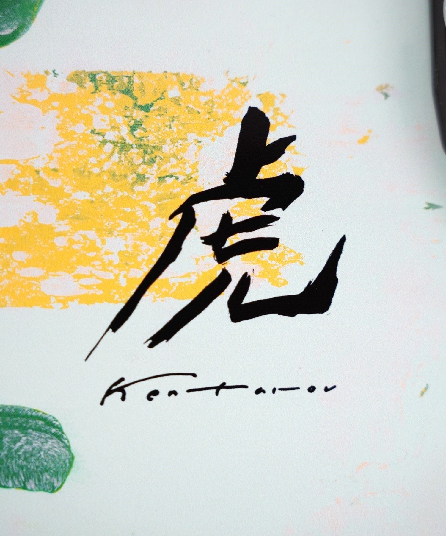 日本限定モデル CARVER カーバー ロング スケートボード LANDスケート 33.0inch C7 TORA 虎(GRN-33.0inch)