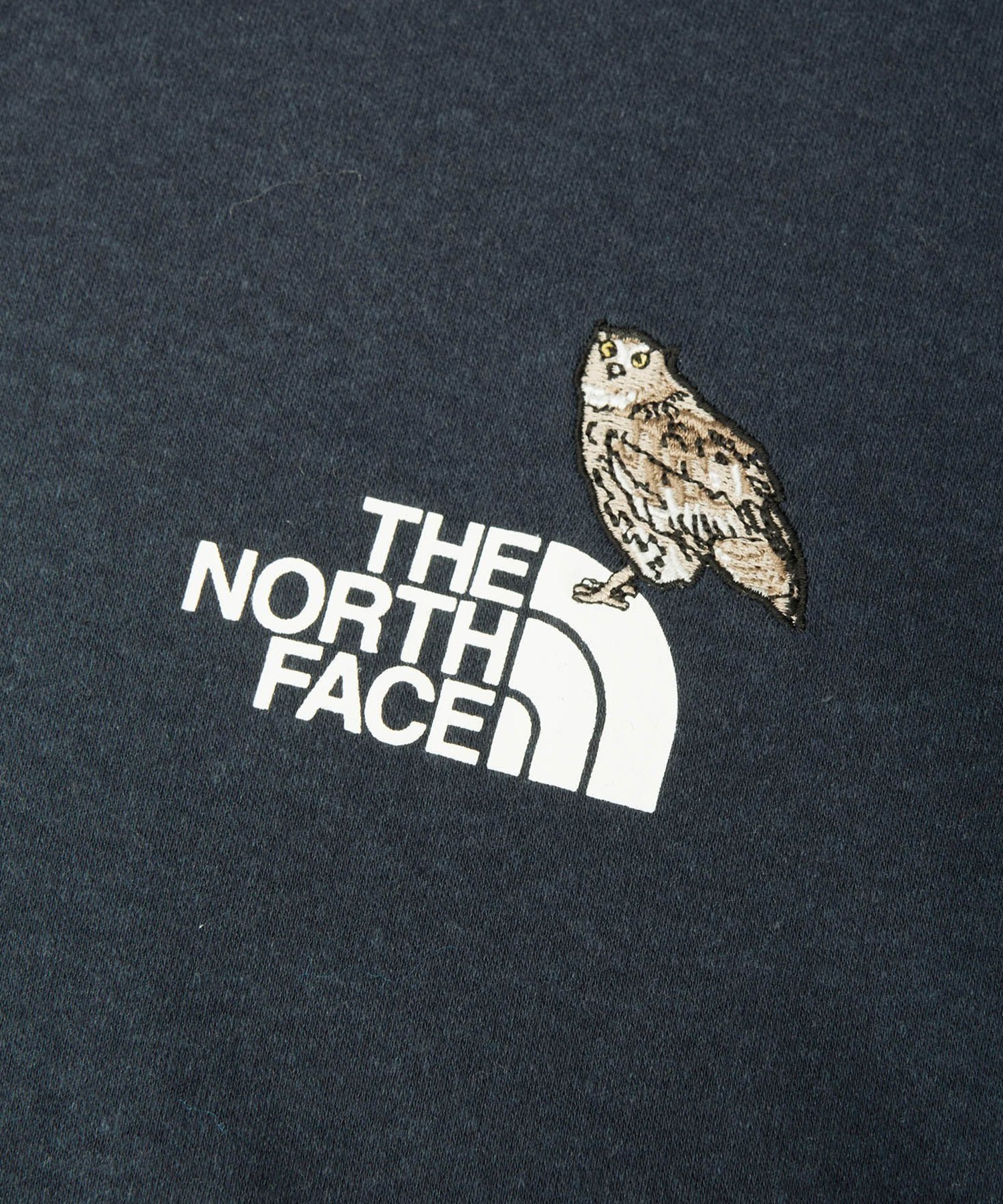 THE NORTH FACE ザ・ノース・フェイス 長袖 Tシャツ ロンT レディース 無地 ワンポイント ロゴ ロングスリーブズーピッカーティー NT82536(AG-S)