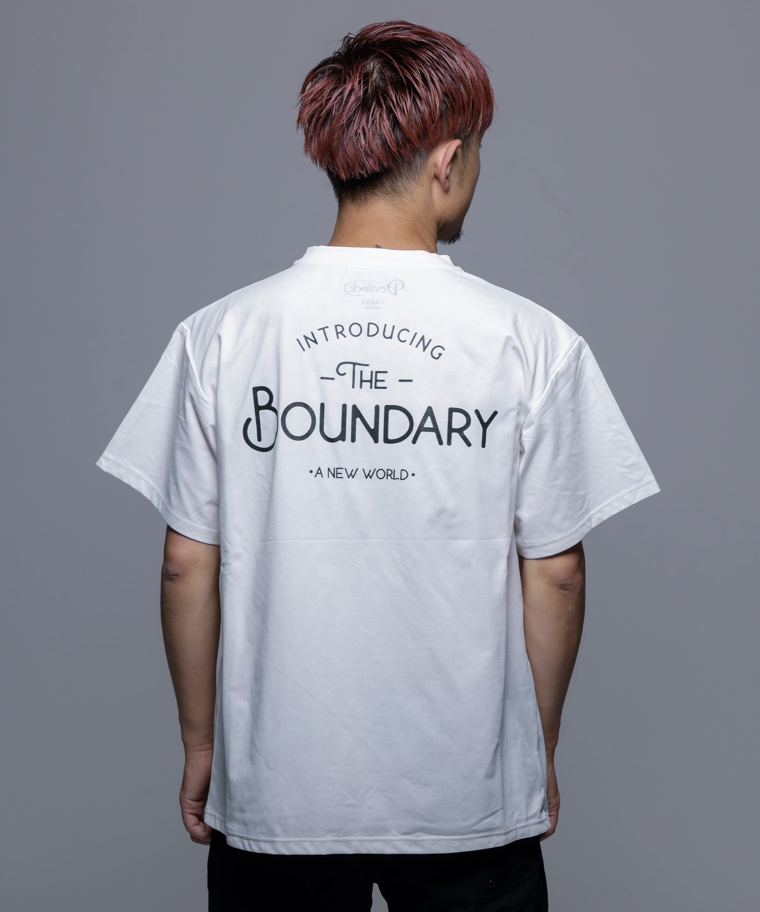 DEVILOCK デビロック ラッシュガード 半袖 メンズ Tシャツ 水陸両用 UVカット 速乾 DV24088 ムラサキスポーツ限定(WT-M)