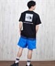 THE NORTH FACE ザ・ノース・フェイス 半袖 Tシャツ メンズ ショートスリーブバンダナスクエアロゴティー NT32446(W2-S)