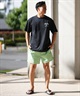 BILLABONG ビラボン 水着 トランクス メンズ ボードショーツ サーフパンツ ワンポイント ロゴ 16インチ 水陸両用 BF011-530(BLK-S)