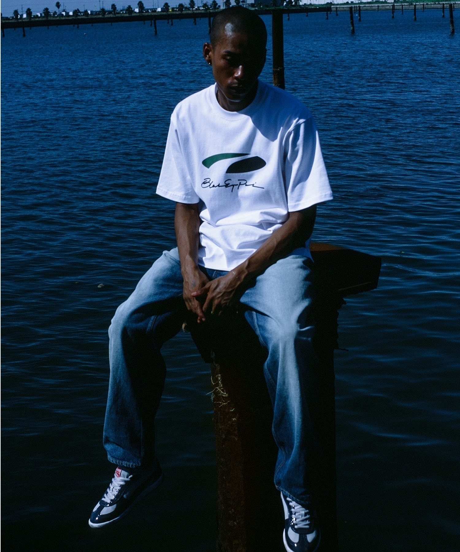 PUMA プーマ スニーカー メンズ レディース BlackEyePatch ブラックアイパッチ PALERMO PREMIUM SKATE BEP 40604201(01-26.0cm)