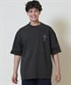 DOGTOWN ドッグタウン 半袖 Tシャツ メンズ バックプリント オーバーサイズ 253DT1ST004(IVO-M)