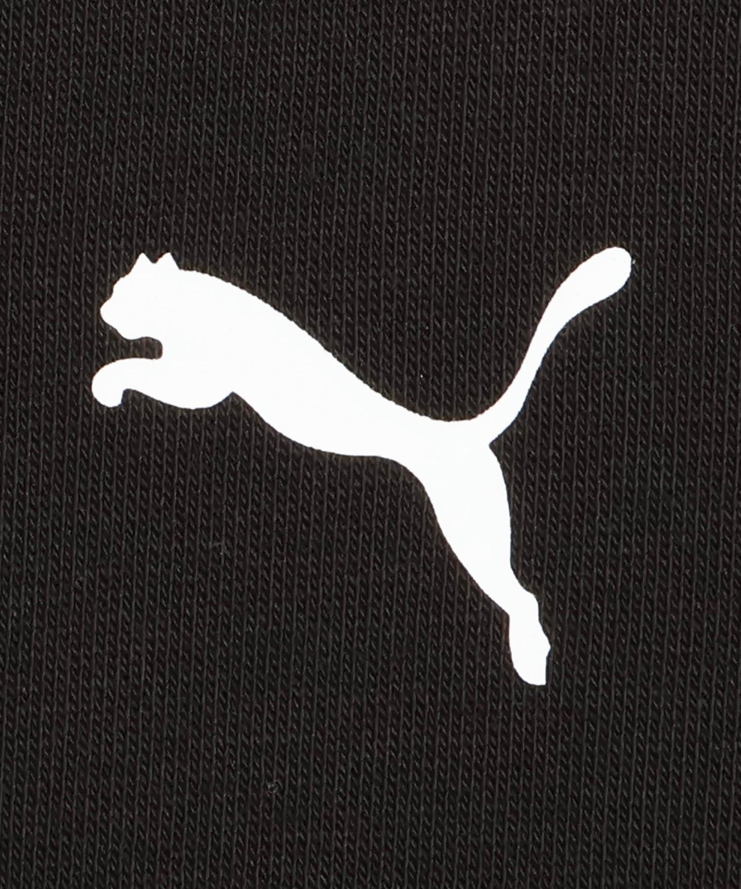 PUMA プーマ プルオーバー パーカー メンズ モンスターハンターワイルズ コラボレーション 636483(01-S)