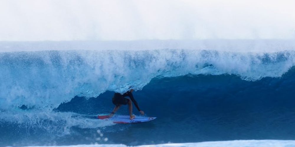 channel islans|NECK BEARD3